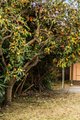 Photo - 3 Frederick Street, Fawkner VIC 3060 - Image 16