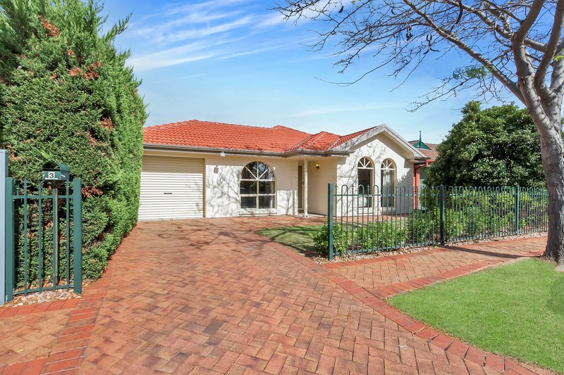 Photo - 3 George Avenue, Allenby Gardens SA 5009 - Image 11