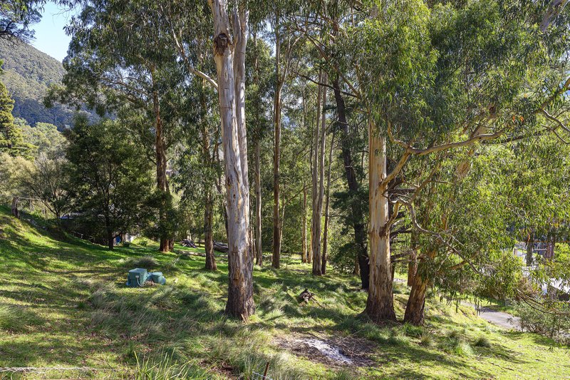 Photo - 3 Glenbrook Road, Warburton VIC 3799 - Image 15