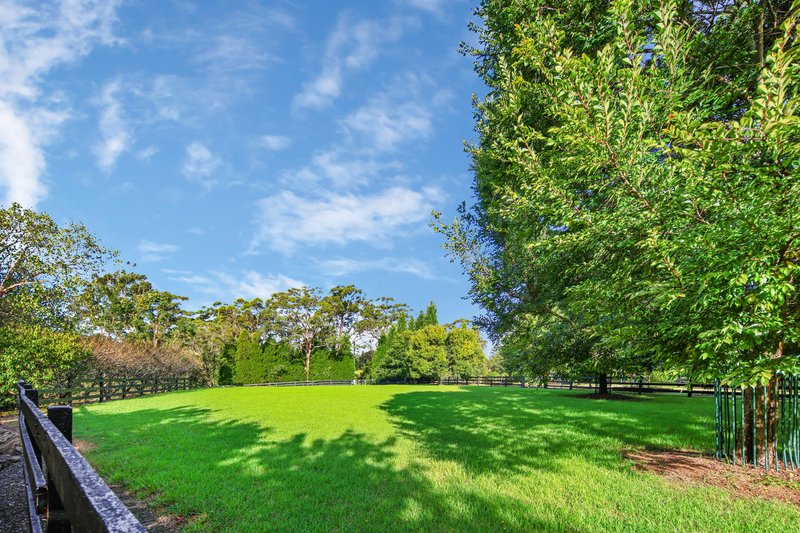 Photo - 3 Glenroy Place, Middle Dural NSW 2158 - Image 35