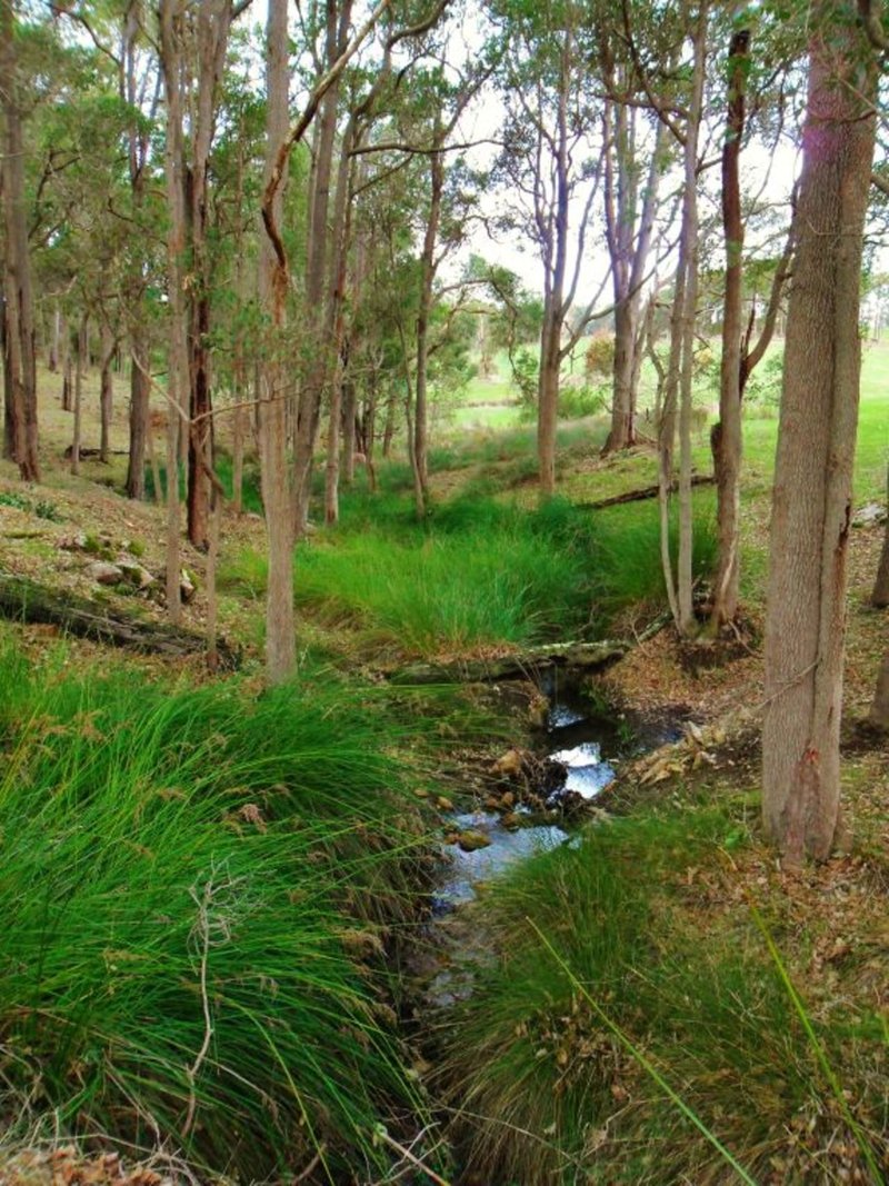 Photo - 3 Halleys Road, Nannup WA 6275 - Image 2