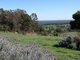 Photo - 3 Halleys Road, Nannup WA 6275 - Image 3