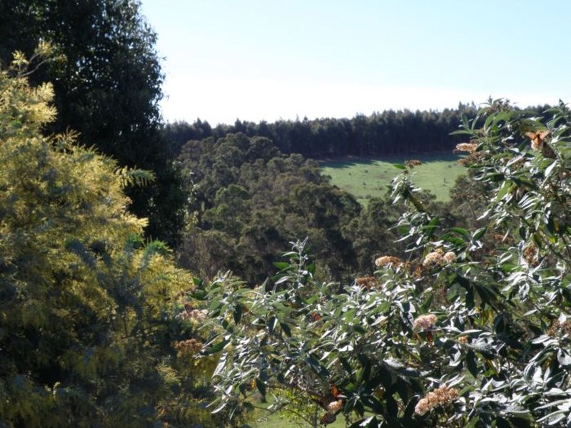 Photo - 3 Halleys Road, Nannup WA 6275 - Image 5