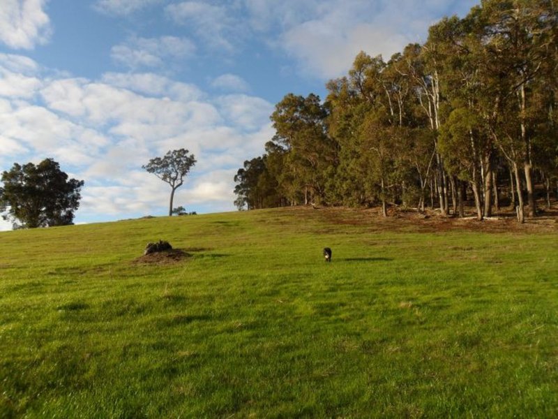 Photo - 3 Halleys Road, Nannup WA 6275 - Image 9