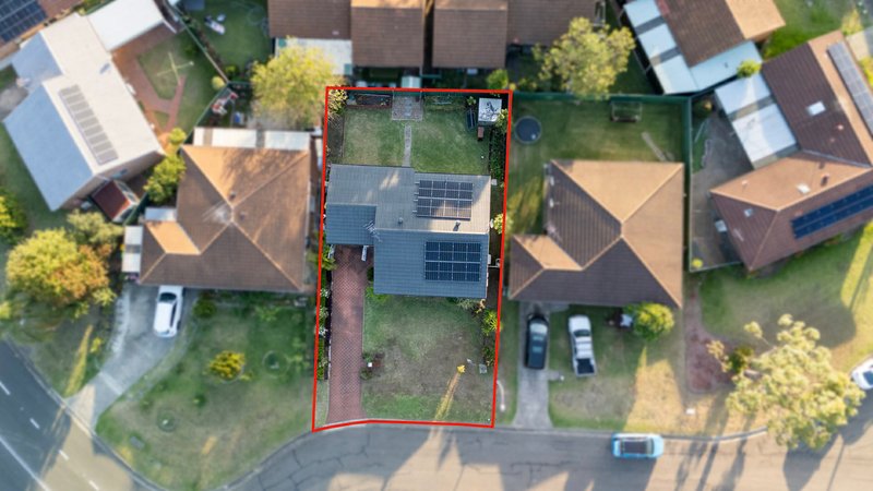 Photo - 3 Hanlon Close, Minto NSW 2566 - Image 12