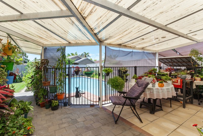 Photo - 3 Harrier Drive, Burleigh Waters QLD 4220 - Image 6