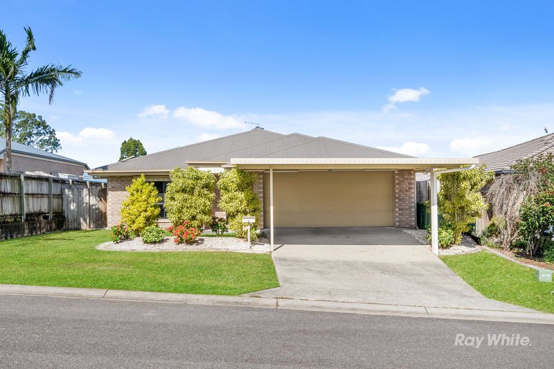 3 Hazelnut Court, Loganlea QLD 4131