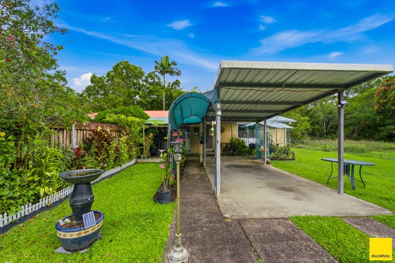 Photo - 3 Hepburn Street, White Rock QLD 4868 - Image 8