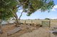 Photo - 3 Highview Holiday Village , Ardrossan SA 5571 - Image 13