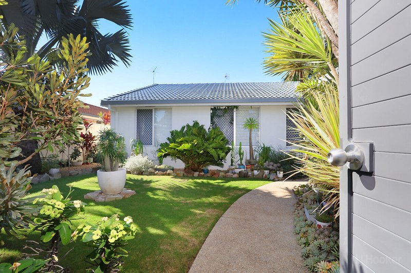 Photo - 3 Jacaranda Avenue, Hollywell QLD 4216 - Image 5