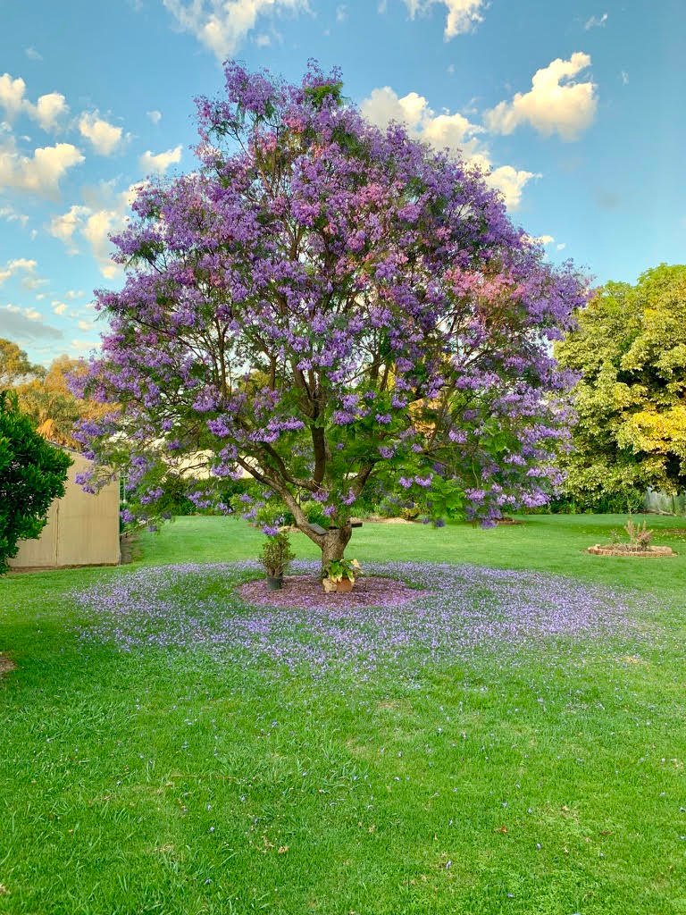 Photo - 3 Johnstone Road, Tatura VIC 3616 - Image 19