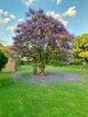 Photo - 3 Johnstone Road, Tatura VIC 3616 - Image 19