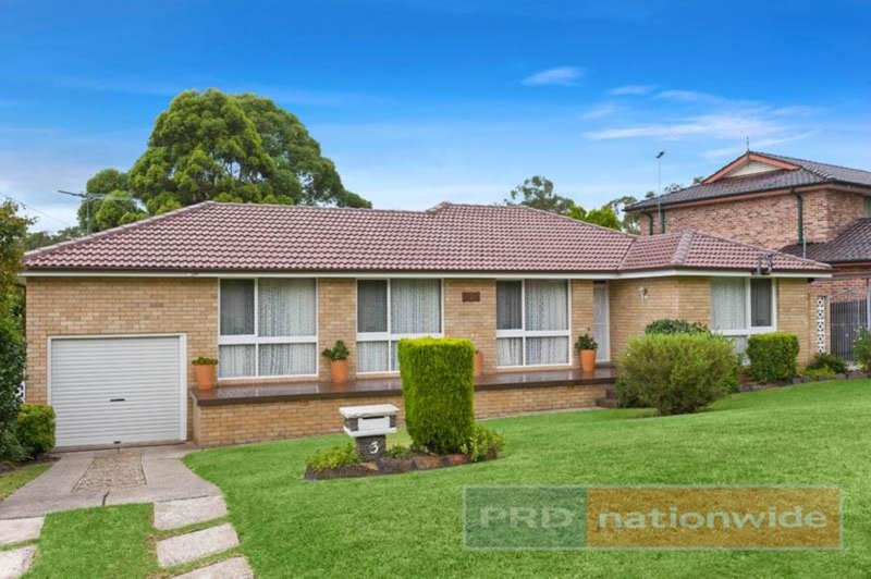 3 Joyce Avenue, Picnic Point NSW 2213