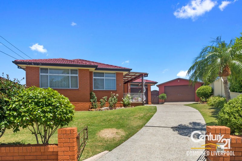 3 Kelly Place, Mount Pritchard NSW 2170