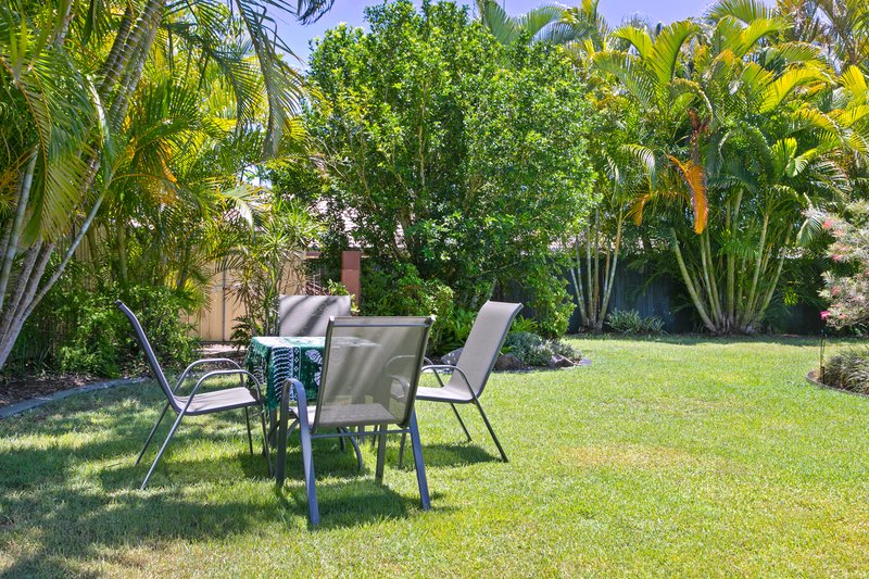 Photo - 3 Kristen Close, Buderim QLD 4556 - Image 21