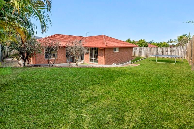Photo - 3 Lacy Lane, Upper Coomera QLD 4209 - Image 4