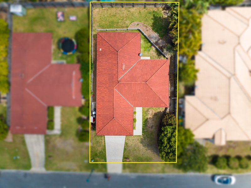 Photo - 3 Lacy Lane, Upper Coomera QLD 4209 - Image 5