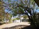 Photo - 3 Larch Street, Mount Isa QLD 4825 - Image 7