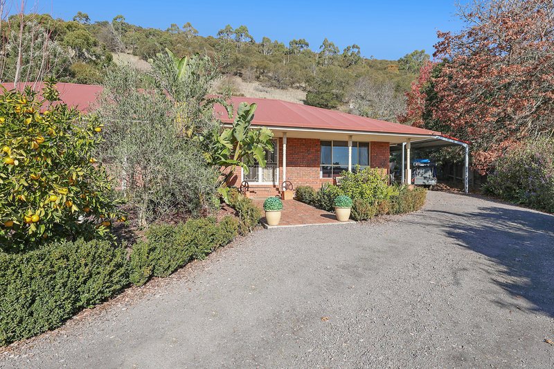 Photo - 3 Leura Court, Camperdown VIC 3260 - Image 4