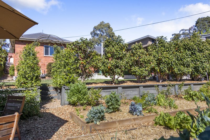 Photo - 3 Lindsay Street, Griffith ACT 2603 - Image 17