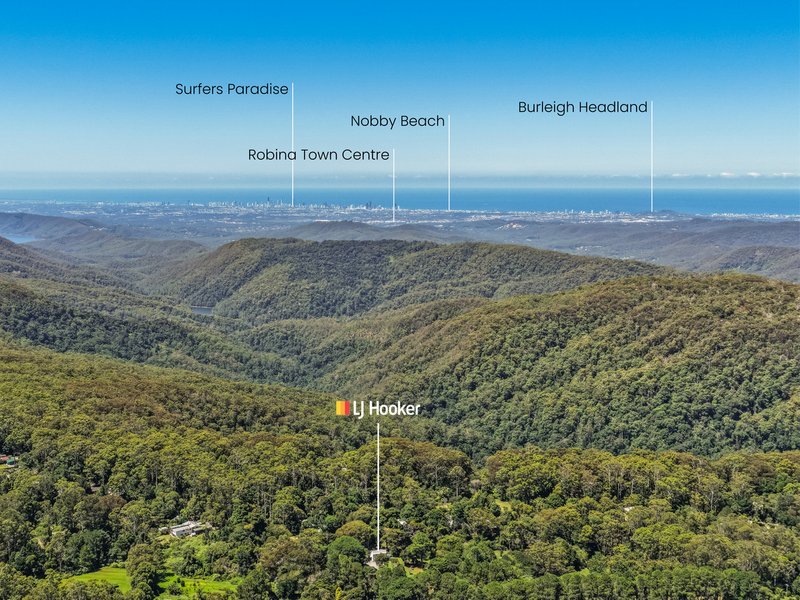 Photo - 3 Lyrebird Ridge Road, Springbrook QLD 4213 - Image 18