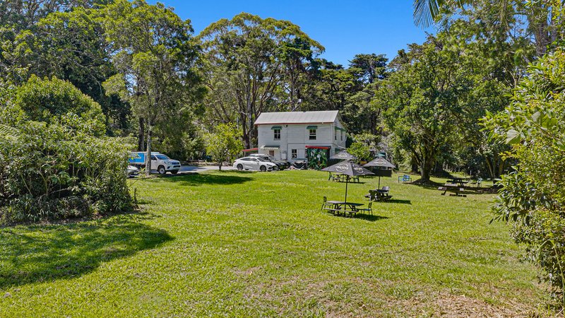 Photo - 3 Lyrebird Ridge Road, Springbrook QLD 4213 - Image 20