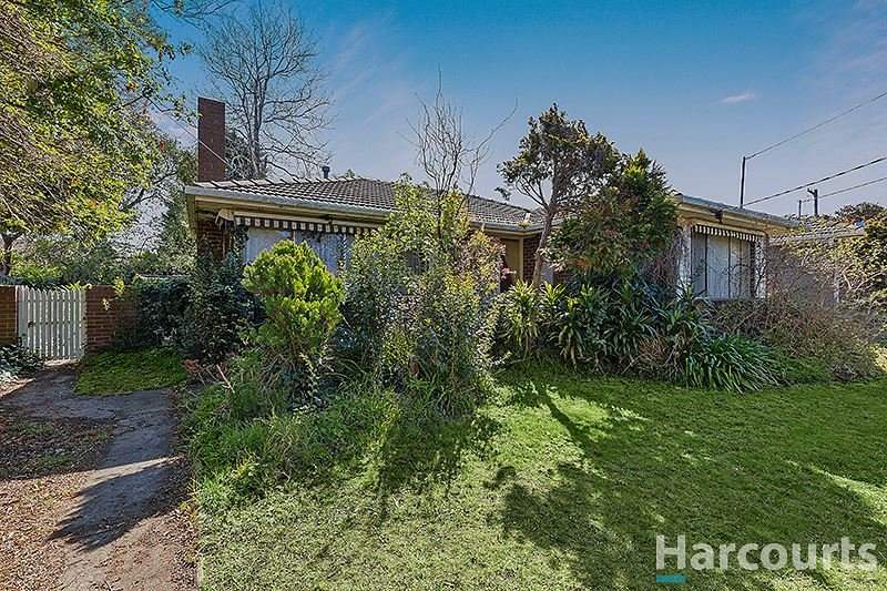 Photo - 3 Mangana Drive, Mulgrave VIC 3170 - Image 3