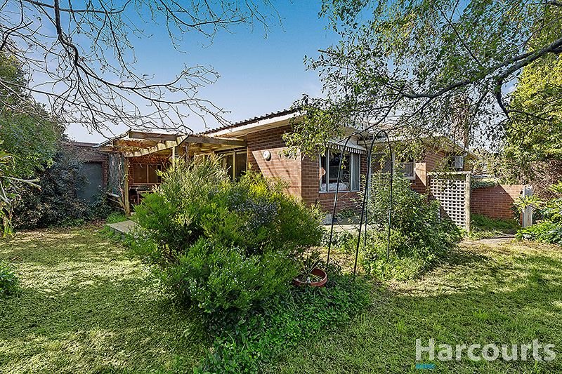 Photo - 3 Mangana Drive, Mulgrave VIC 3170 - Image 4