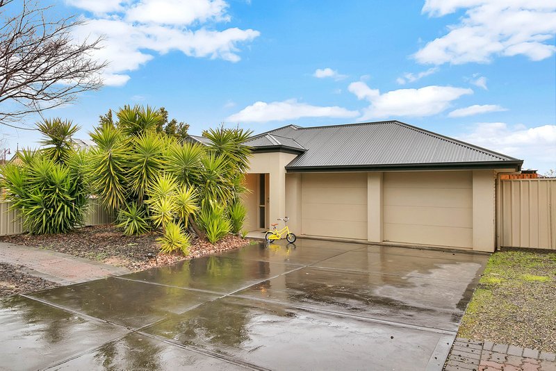 3 Mccallum Road, Freeling SA 5372