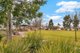 Photo - 3 Mccallum Road, Freeling SA 5372 - Image 11