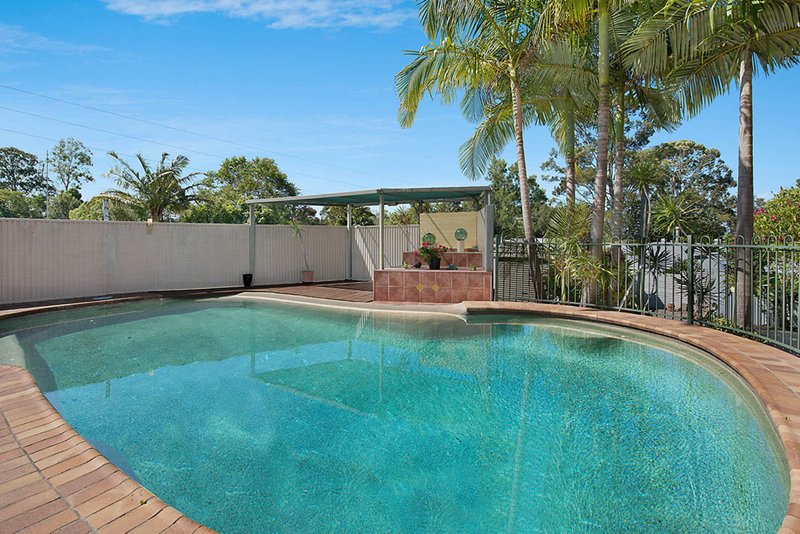 Photo - 3 Melaleuca Avenue, Buderim QLD 4556 - Image 8