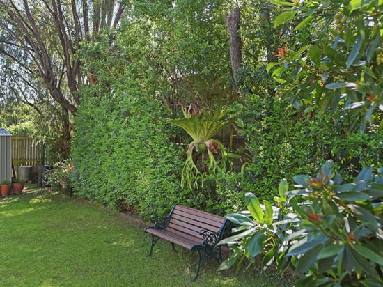 Photo - 3 Mellifont Street, Banyo QLD 4014 - Image 11