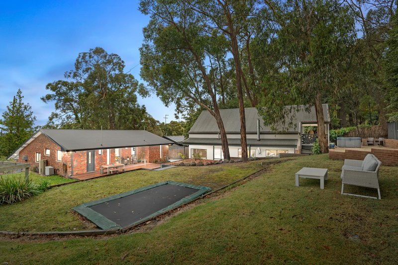 Photo - 3 Milleara Street, The Basin VIC 3154 - Image 10