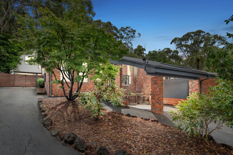 Photo - 3 Milleara Street, The Basin VIC 3154 - Image 13