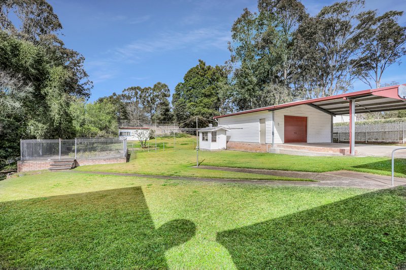 Photo - 3 Moore Road, Bolwarra Heights NSW 2320 - Image 13