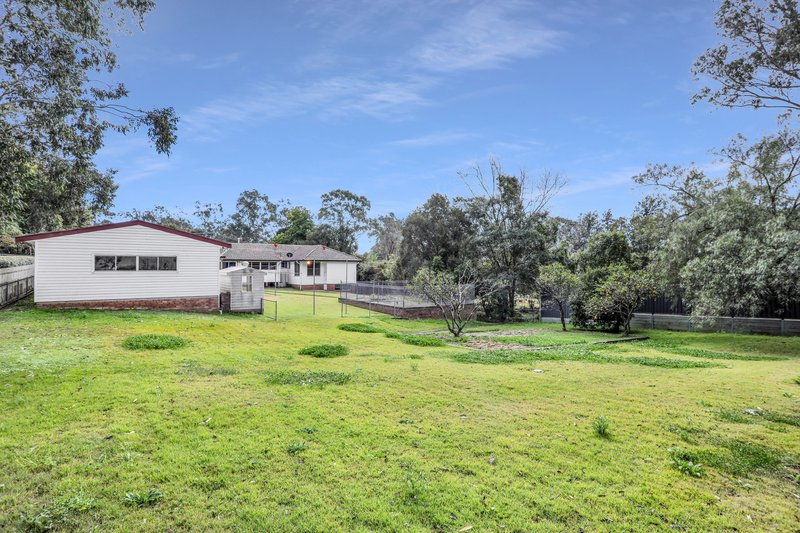 Photo - 3 Moore Road, Bolwarra Heights NSW 2320 - Image 15