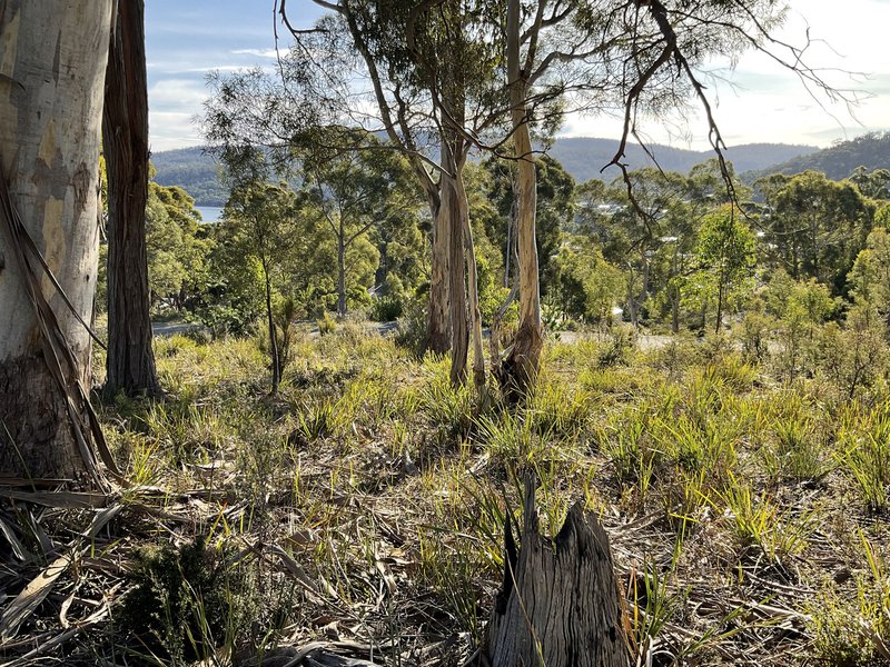 Photo - 3 Mundy Court, Nubeena TAS 7184 - Image 6