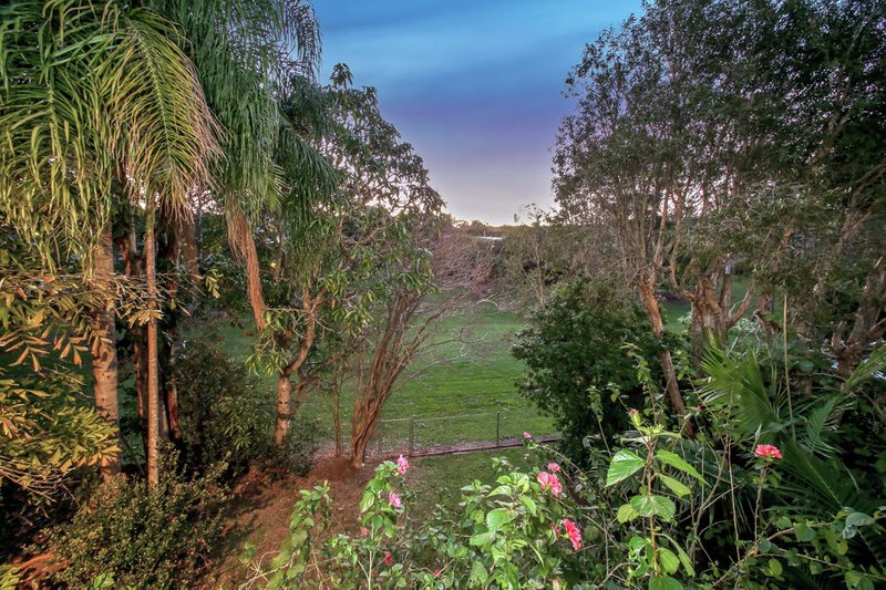 Photo - 3 Nyora Street, Everton Hills QLD 4053 - Image 24