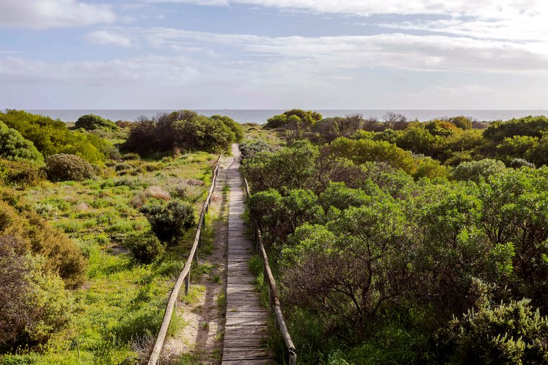 Photo - 3 Oceanview Drive Fort Largs , Taperoo SA 5017 - Image 32