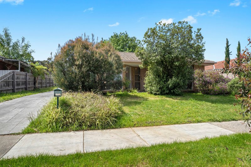 Photo - 3 Palmerston Road, Lysterfield VIC 3156 - Image 10