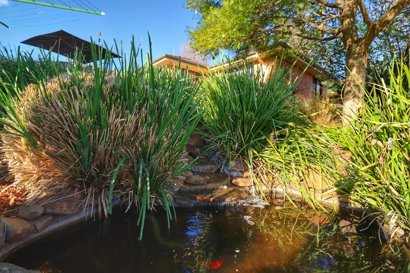 Photo - 3 Paris Place, Cowra NSW 2794 - Image 16