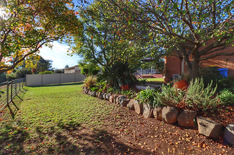 Photo - 3 Paris Place, Cowra NSW 2794 - Image 17