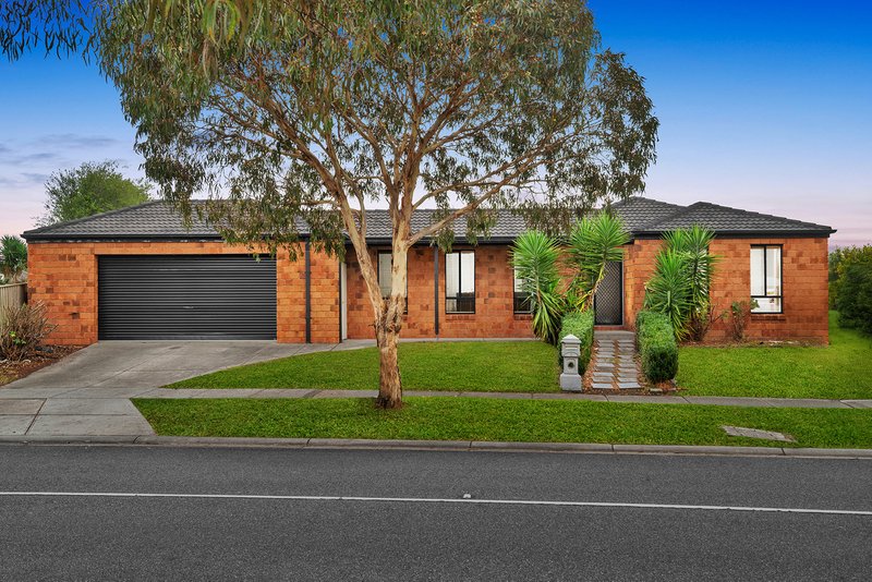 Photo - 3 Pepperbush Circuit, Cranbourne VIC 3977 - Image 1