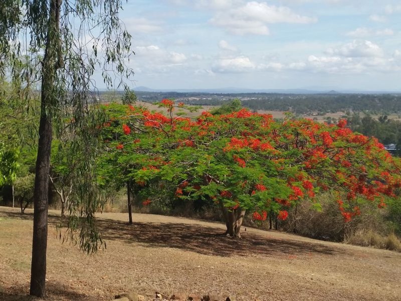 Photo - 3 Philip Court, Summerholm QLD 4341 - Image 18