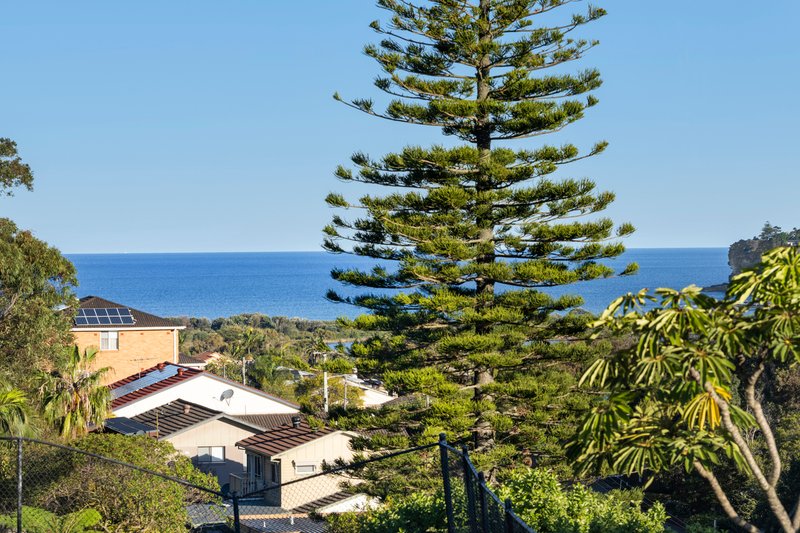 Photo - 3 Plateau Road, Collaroy NSW 2097 - Image 2