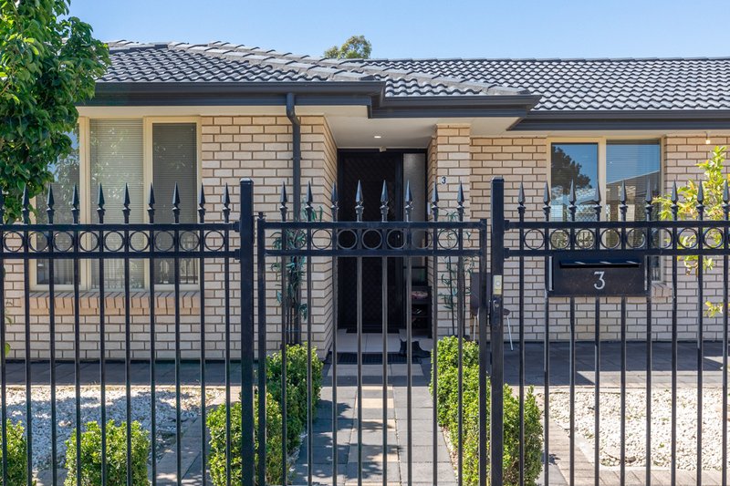 Photo - 3 Princes Parade, Clovelly Park SA 5042 - Image 2