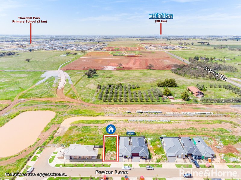 Photo - 3 Protea Lane, Cobblebank VIC 3338 - Image 2