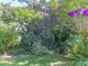 Photo - 3 Quiet Valley Crescent, Buderim QLD 4556 - Image 15