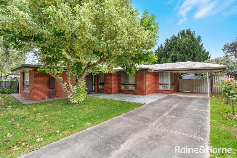 3 Riordan Street, Morphett Vale SA 5162