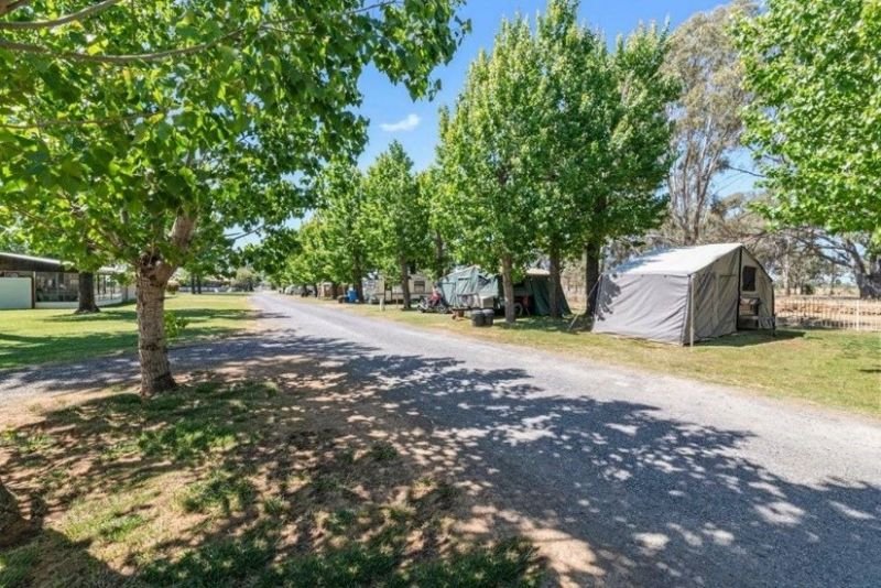 Photo - 3 Ritchie Road, Cobram VIC 3644 - Image 7